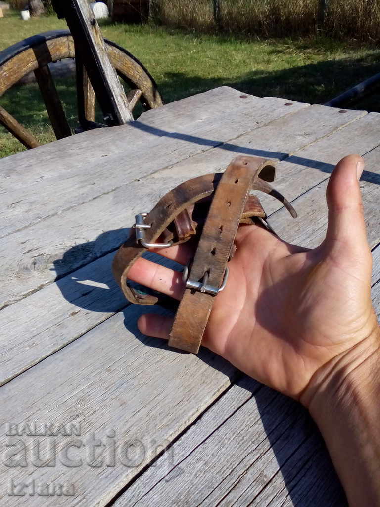 Παράδοση Παλιές γάτες Παράδοση Παλιές γάτες