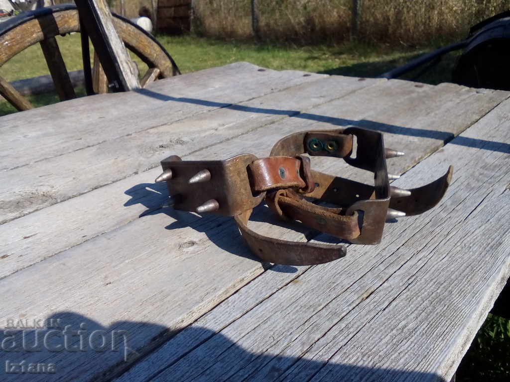 Παλιές γάτες Παλιές γάτες