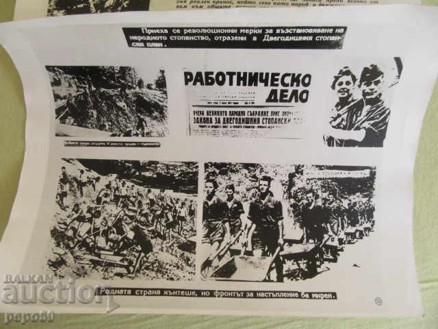 Delivery of 3 PHOTOS WAY TO WIN / 30 x 40cm /