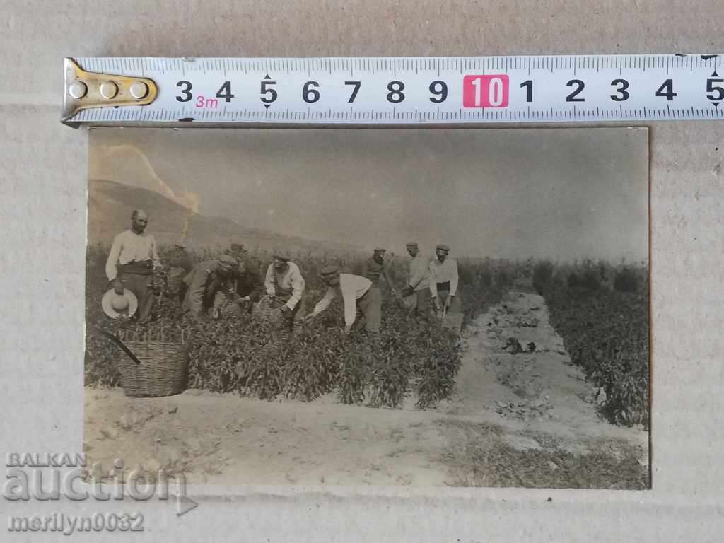 Delivery of Military Photo Photography Portrait WW1 WWI Delivery of Military Photo Photography Portrait WW1 WWI