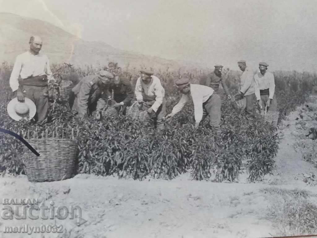 Military Photo Photography Portrait WW1 WWI - 6 Military Photo Photography Portrait WW1 WWI - 6