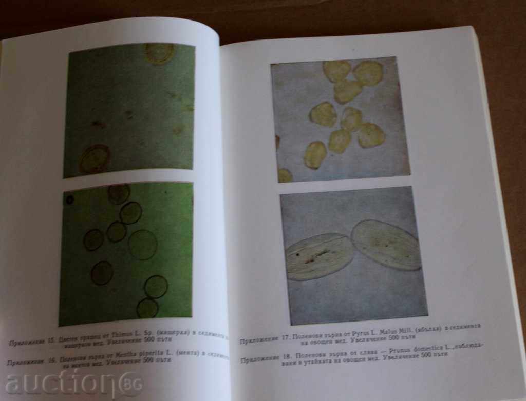 Delivery of . BEE PRODUCTS FOOD AND MEDICINE BEEKEEPING BEE HONEY Delivery of . BEE PRODUCTS FOOD AND MEDICINE BEEKEEPING BEE HONEY