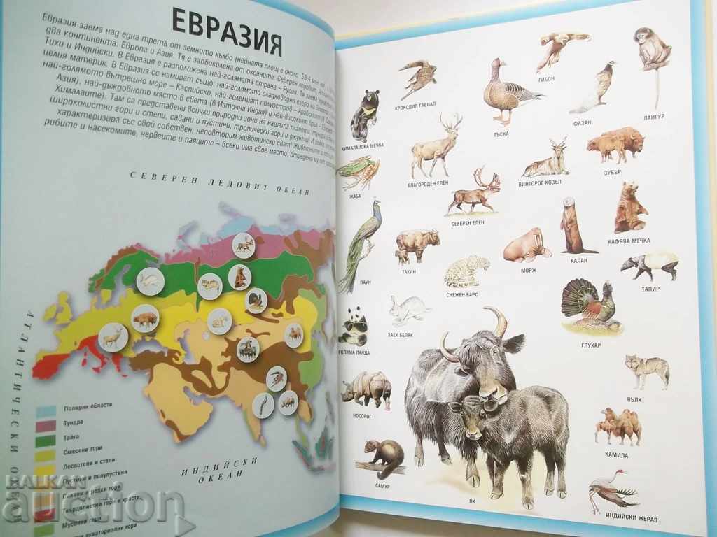 Auction World Atlas of Animals 2004 Auction World Atlas of Animals 2004