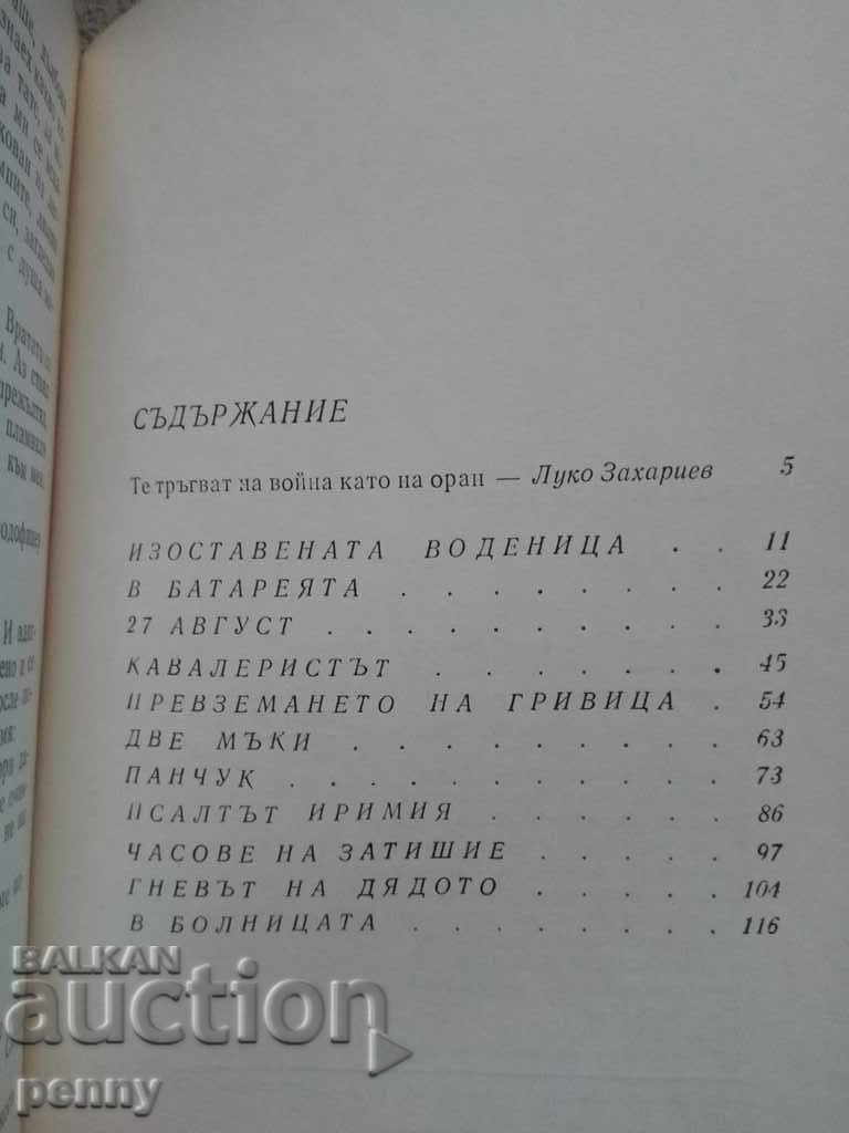 Two griefs - Michael Sadovianu with price 1.99 BGN | € 1.02 Two griefs - Michael Sadovianu with price 1.99 BGN | € 1.02