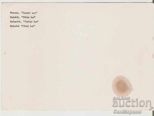 Card Bulgaria Balchik "The Quiet Corner" 3 * with price 0.30 BGN | € 0.15 Card Bulgaria Balchik "The Quiet Corner" 3 * with price 0.30 BGN | € 0.15