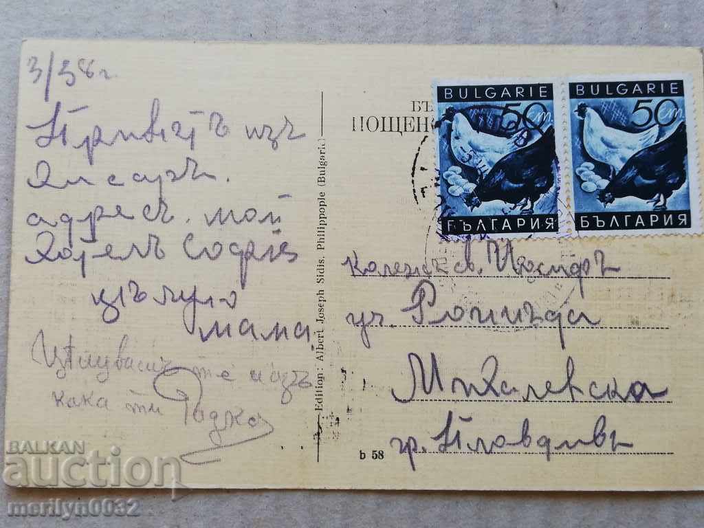 Old photo, Hisarya postcard with price 34.00 BGN | € 17.38 Old photo, Hisarya postcard with price 34.00 BGN | € 17.38