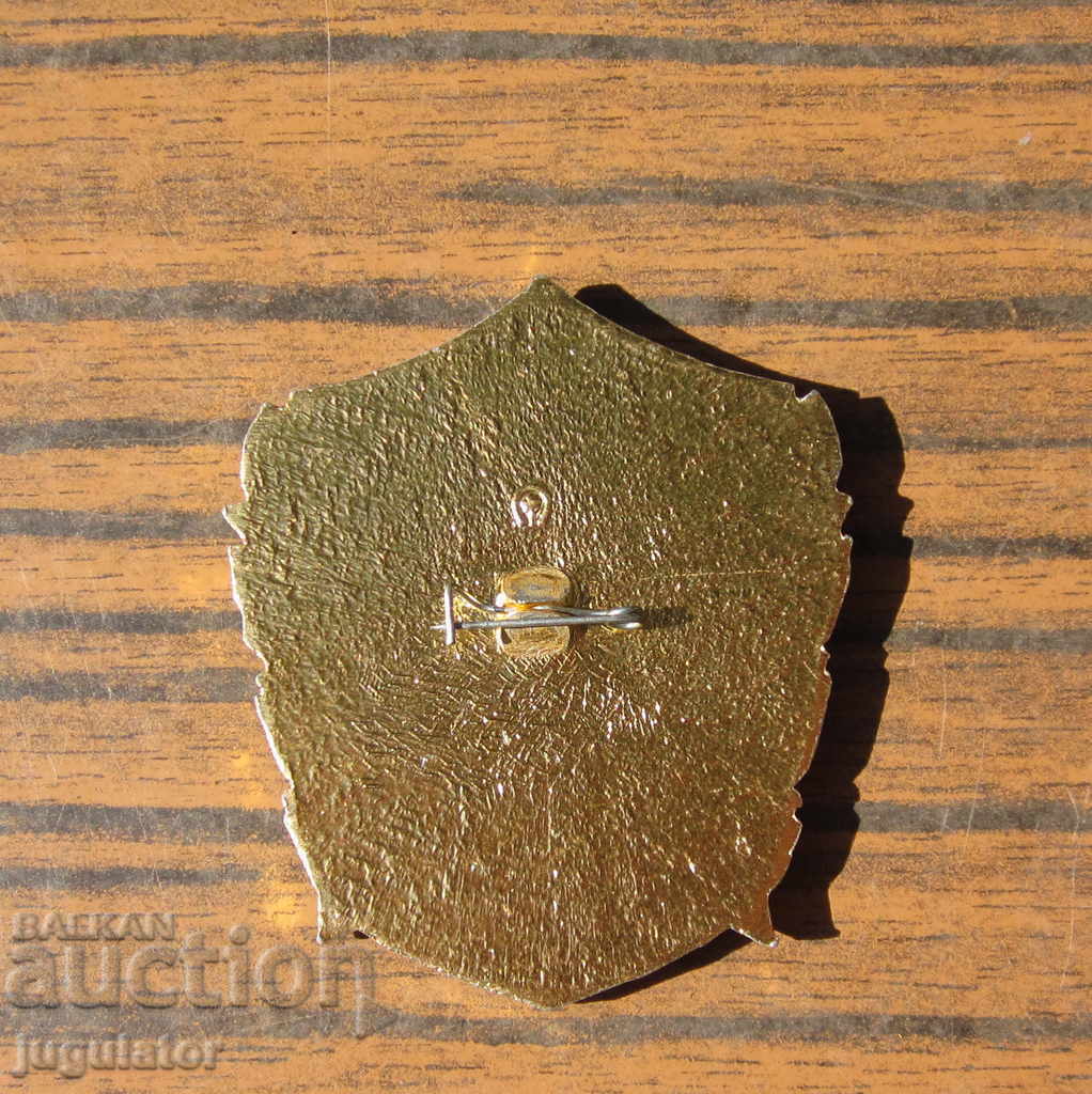 Russian military badge old sign motorized rifle ground troops - 7 Russian military badge old sign motorized rifle ground troops - 7