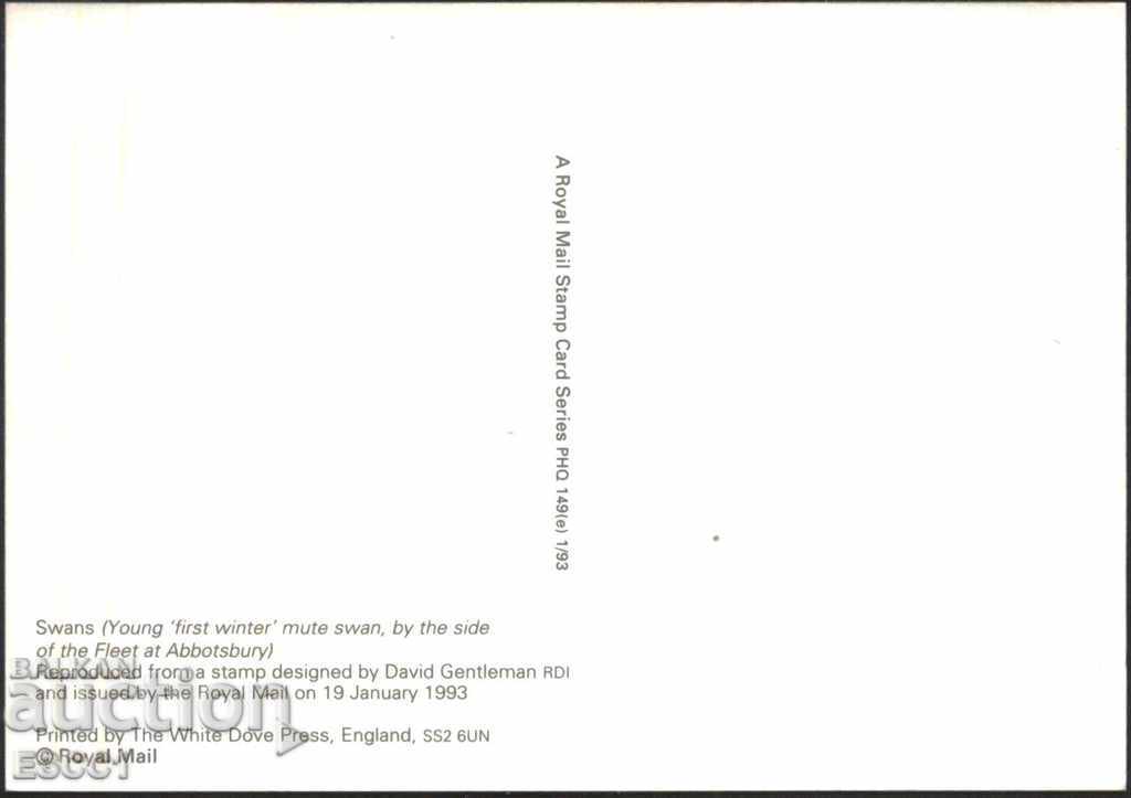 Postcard Mark Bird 1993 from the United Kingdom with price 1.70 BGN | € 0.87 Postcard Mark Bird 1993 from the United Kingdom with price 1.70 BGN | € 0.87