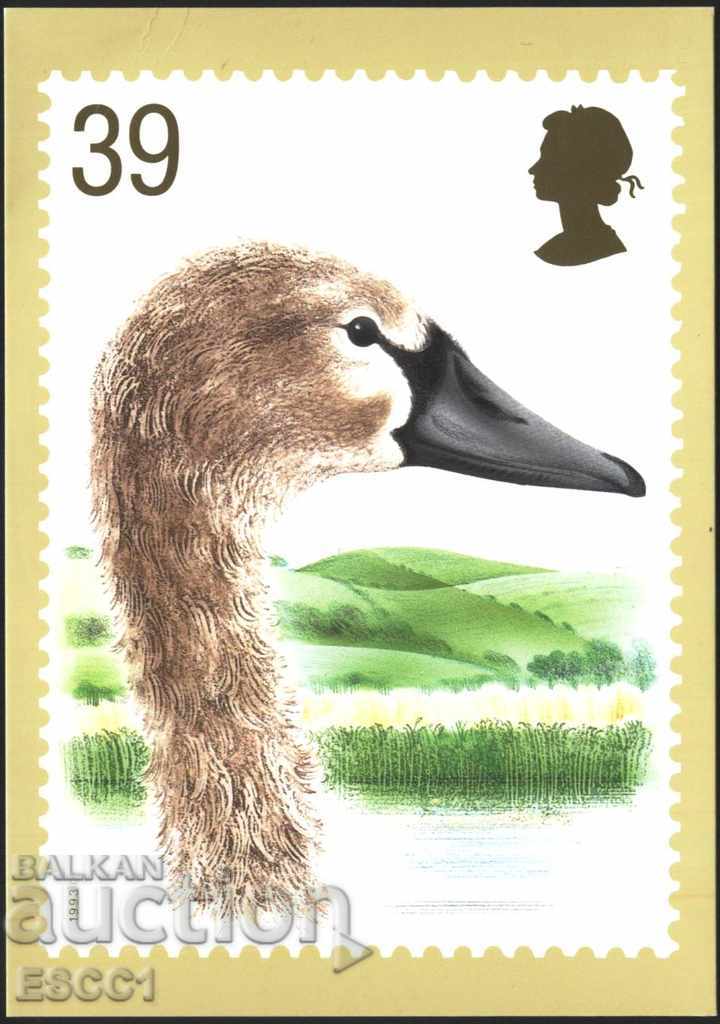 Carte poștală Mark Bird 1993 din Regatul Unit