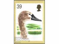 Пощенска картичка Марка Птица 1993 от Великобритания