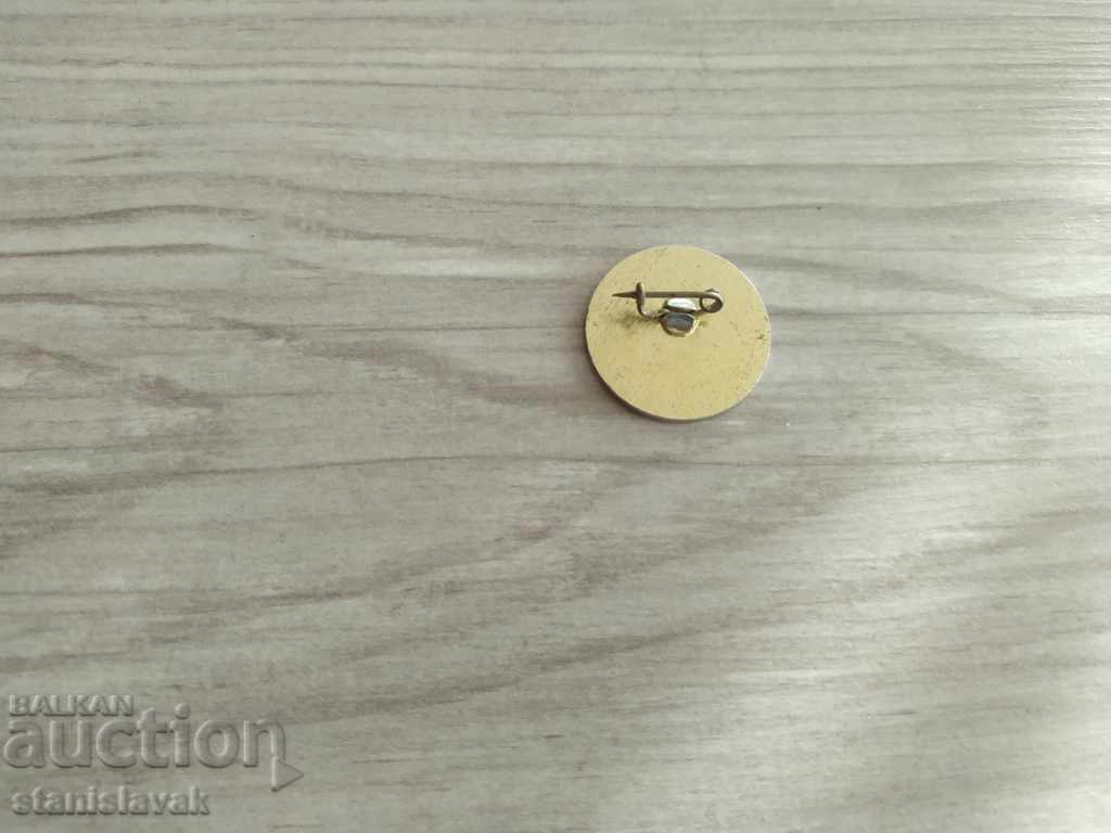 Διακριτικό ραδιοερασιτέχνη με τιμή 3.00 BGN | € 1.53