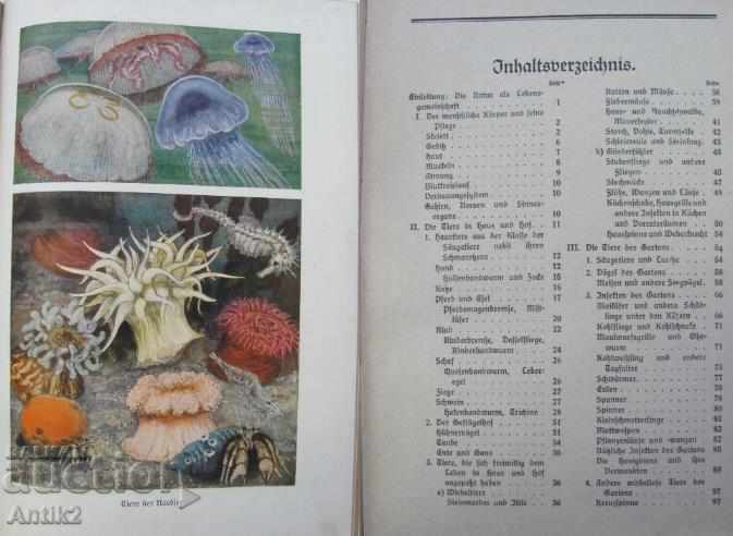 Delivery of 1930 Book Biology Germany Delivery of 1930 Book Biology Germany