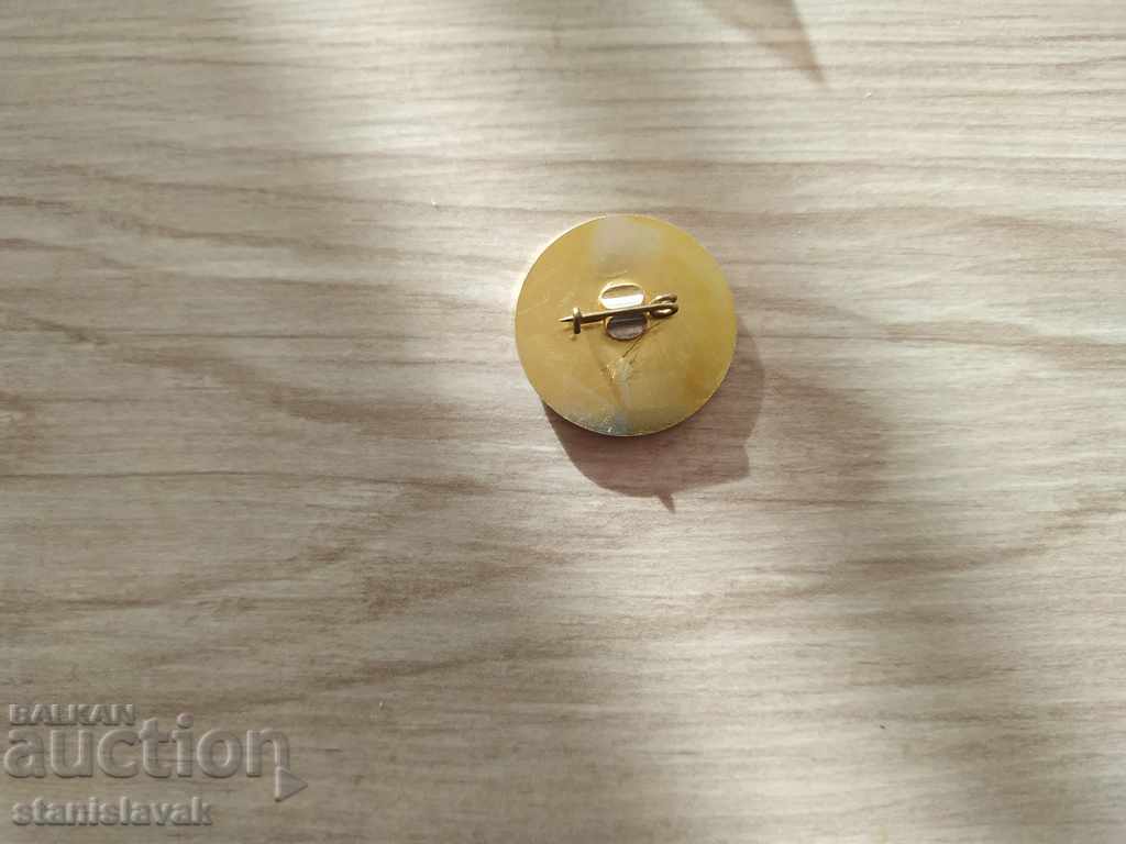 Badge with price 1.00 BGN | € 0.51 Badge with price 1.00 BGN | € 0.51