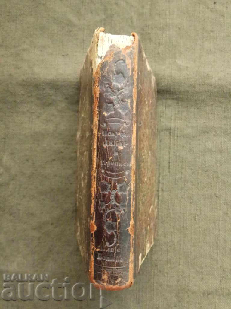 Auction Nursing Service. Vladana Gorgevia Auction Nursing Service. Vladana Gorgevia