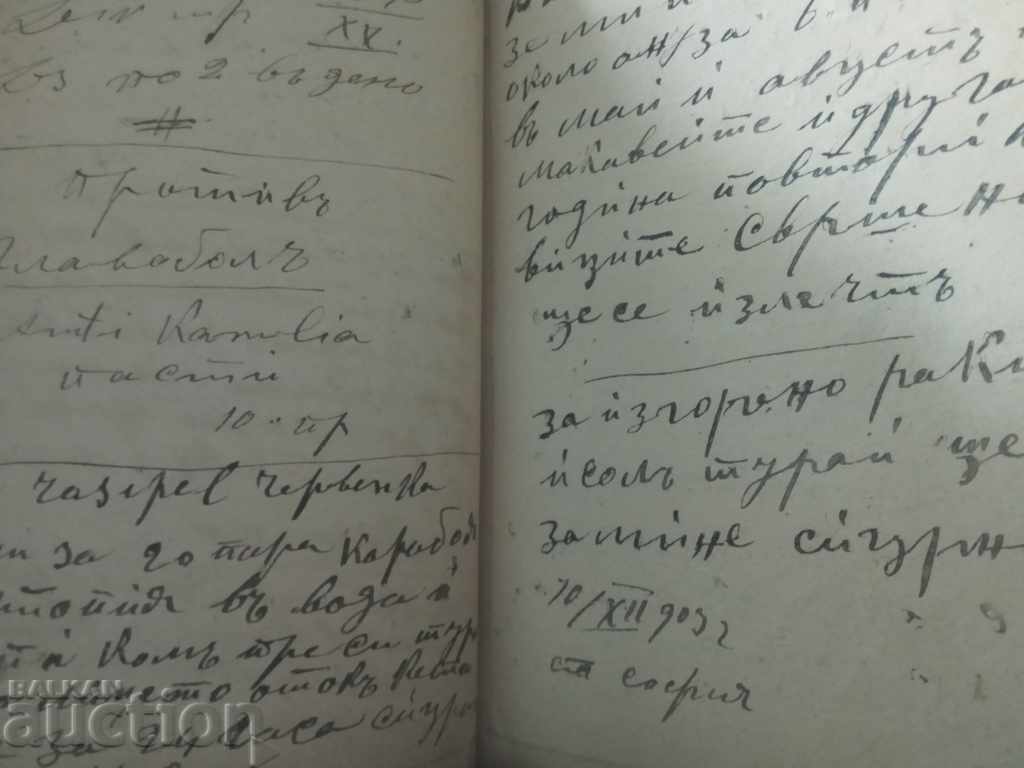 Nursing Service. Vladana Gorgevia - 7 Nursing Service. Vladana Gorgevia - 7