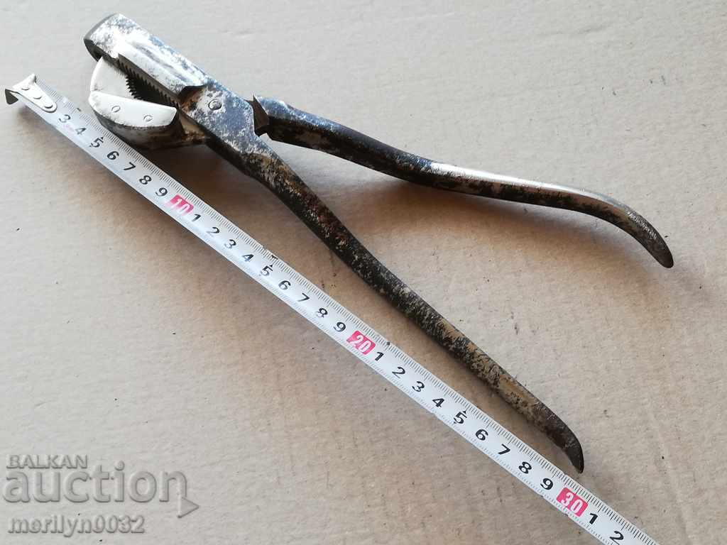 Auction Veterinary clamps for medical instruments Auction Veterinary clamps for medical instruments