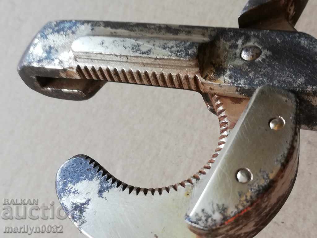 Delivery of Veterinary clamps for medical instruments Delivery of Veterinary clamps for medical instruments