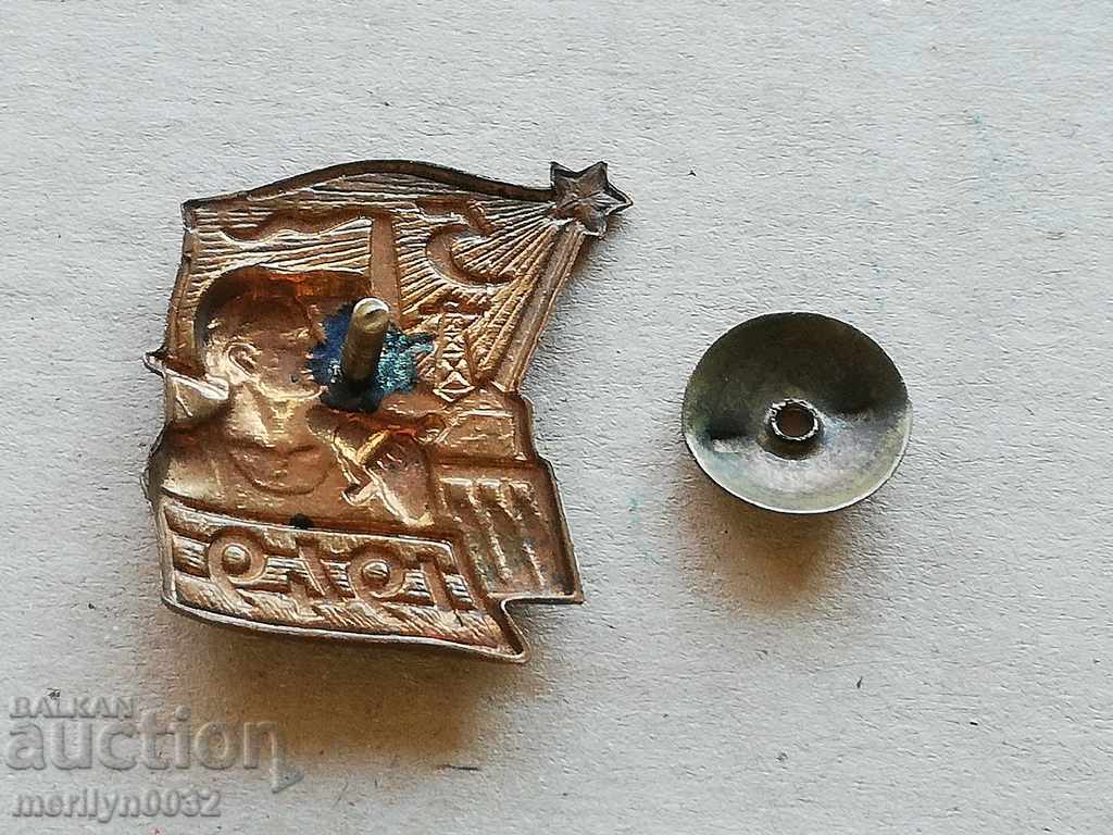 Auction  Breastplate Energy 1949 Medal Badge