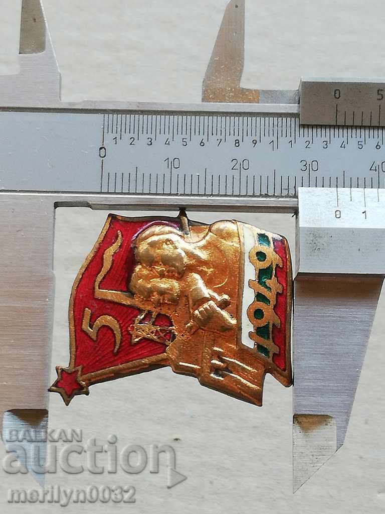 Breastplate Energy 1949 Medal Badge - 5