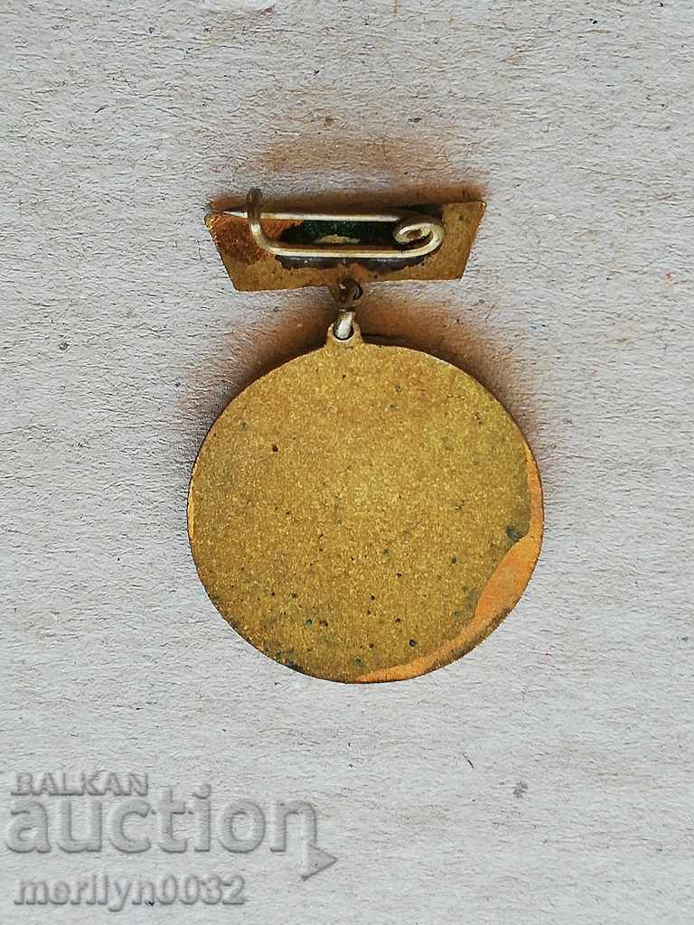 Wilhelm Peak Badge Vratsa Medal Badge - 6