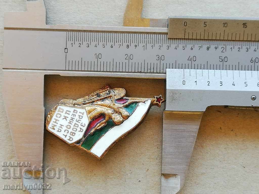 Badge of Employment Medal Badge - 5