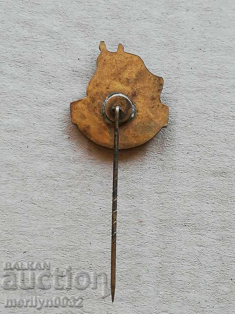 Auction Breastplate Physical Culture Celebration Medal Badge Auction Breastplate Physical Culture Celebration Medal Badge