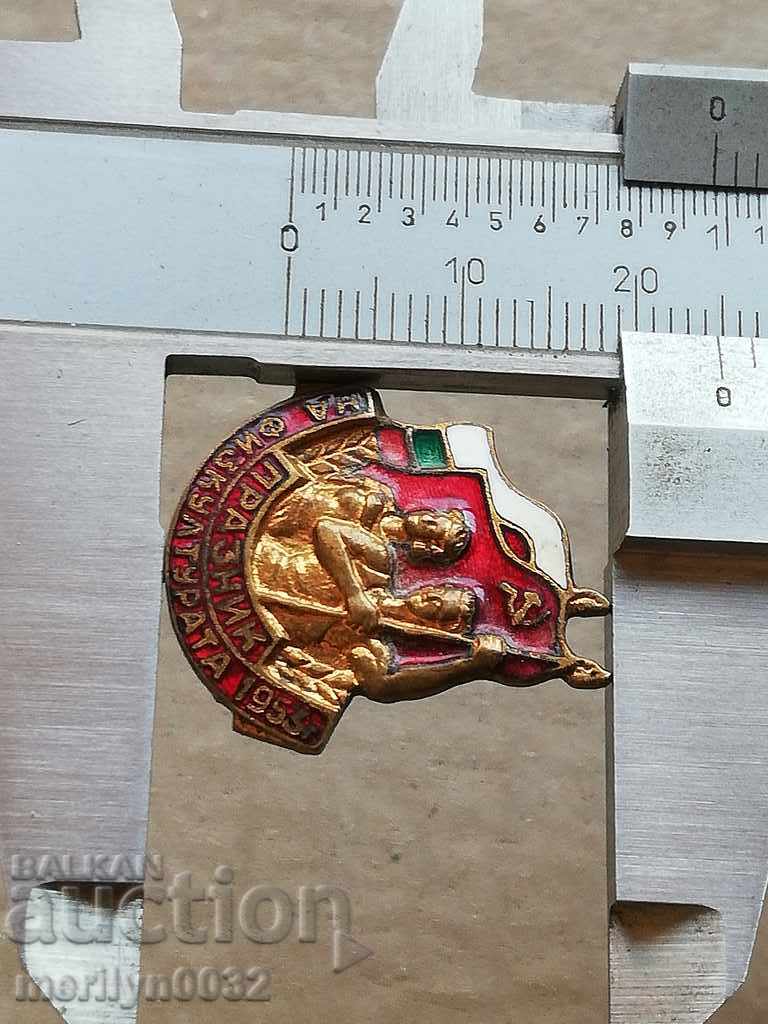 Breastplate Physical Culture Celebration Medal Badge - 5 Breastplate Physical Culture Celebration Medal Badge - 5