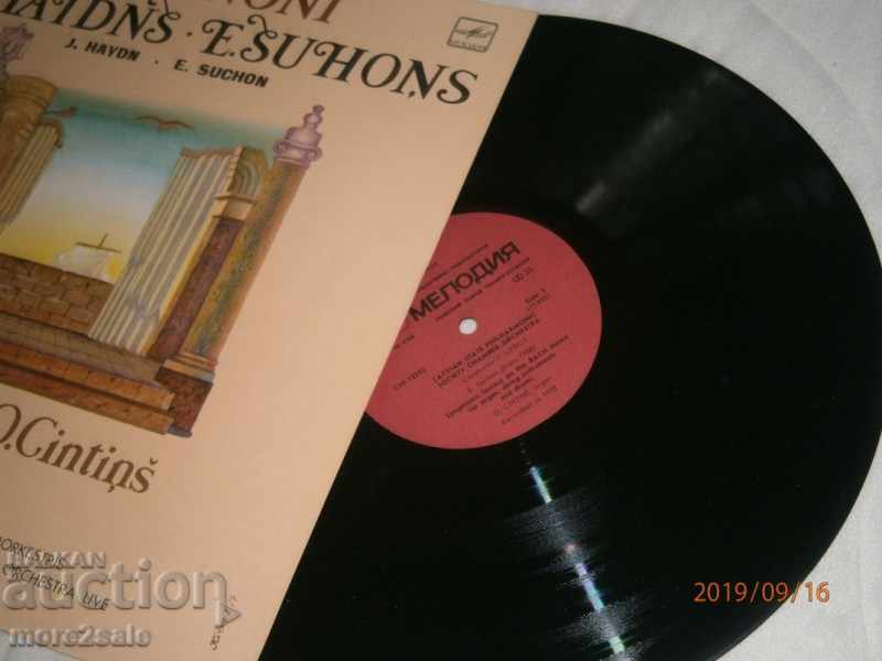 Auction HEIDEN / ALBINONS / SUHONS - BIG PANEL - MELODY C10 - 132 Auction HEIDEN / ALBINONS / SUHONS - BIG PANEL - MELODY C10 - 132