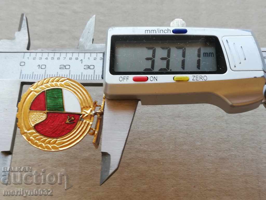 Active Activity Award Badge - 6 Active Activity Award Badge - 6