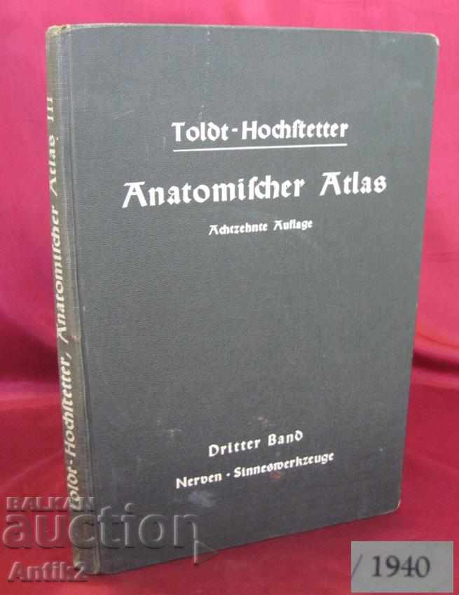 1940 Medical Book Anatomical Atlas Germany