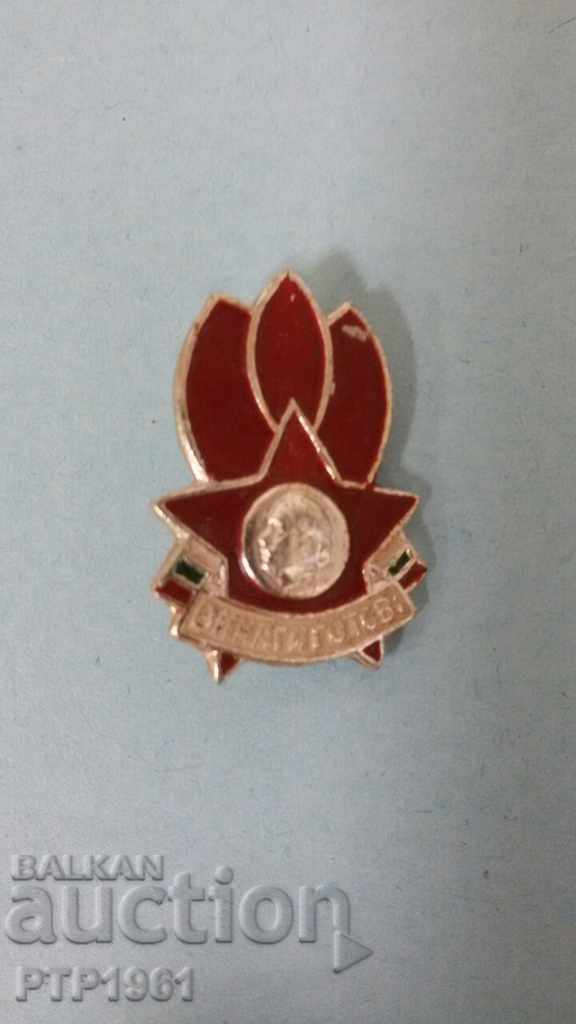 chavdarje/pioneer badge chavdarje/pioneer badge