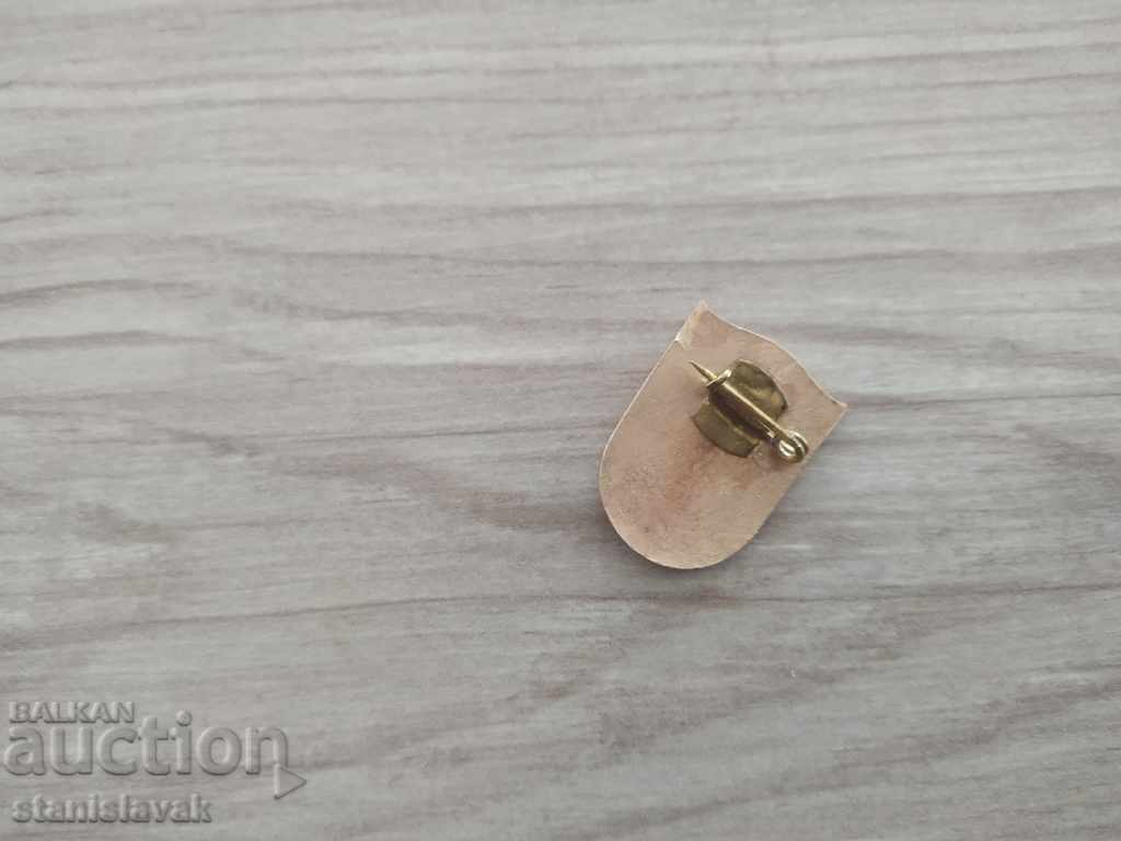 Badge chess race with price 10.00 BGN | € 5.11 Badge chess race with price 10.00 BGN | € 5.11