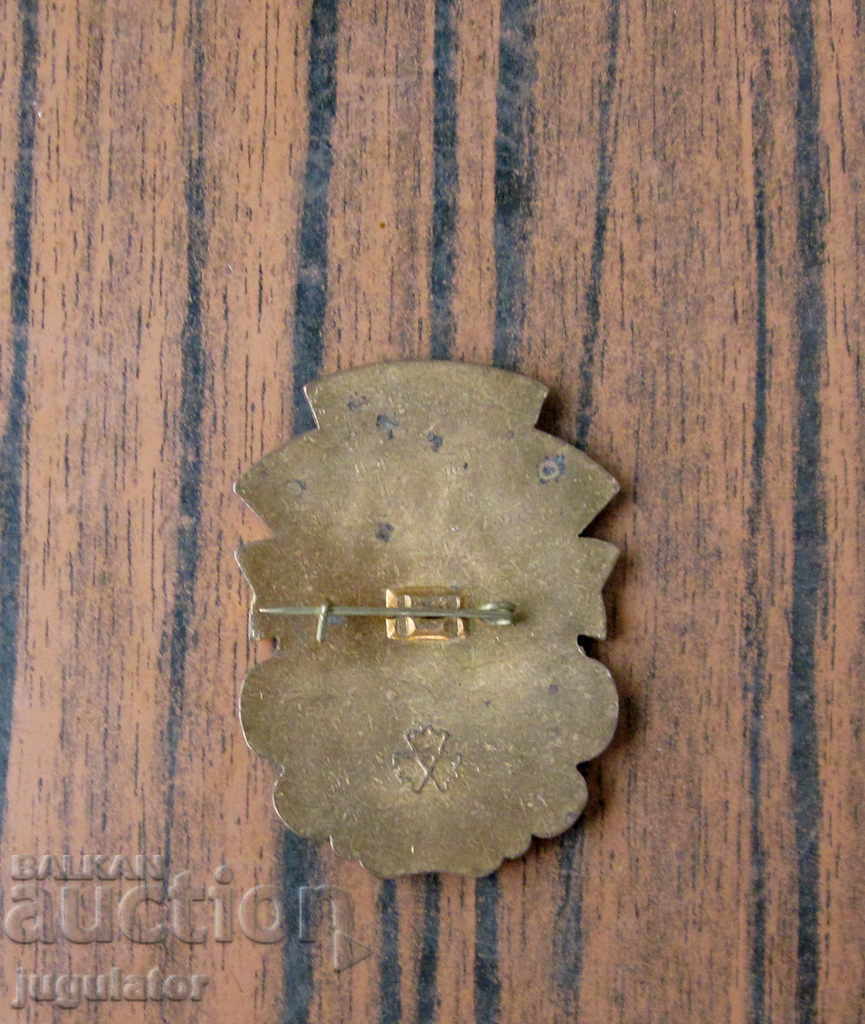 Ukrainian military badge sign of independence - 5