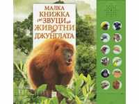 A small jungle animal booklet
