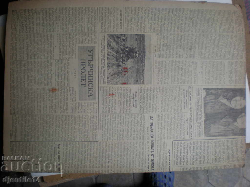 Auction oil drawing on cardboard Auction oil drawing on cardboard