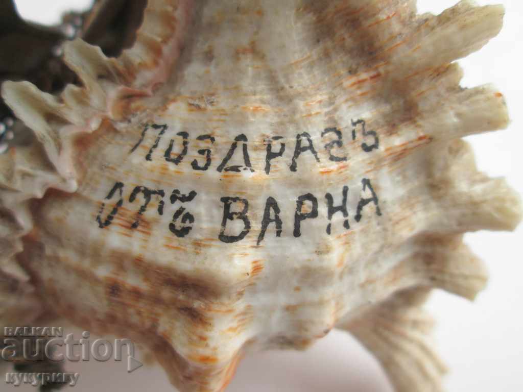An old souvenir from Varna thermometer anchors Kingdom Bulgaria - 7 An old souvenir from Varna thermometer anchors Kingdom Bulgaria - 7