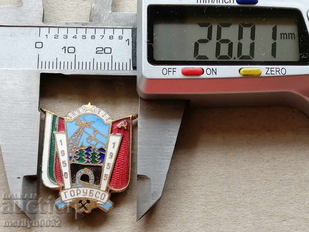 Delivery of Badge GORUBSO 1950-55 year badge Delivery of Badge GORUBSO 1950-55 year badge
