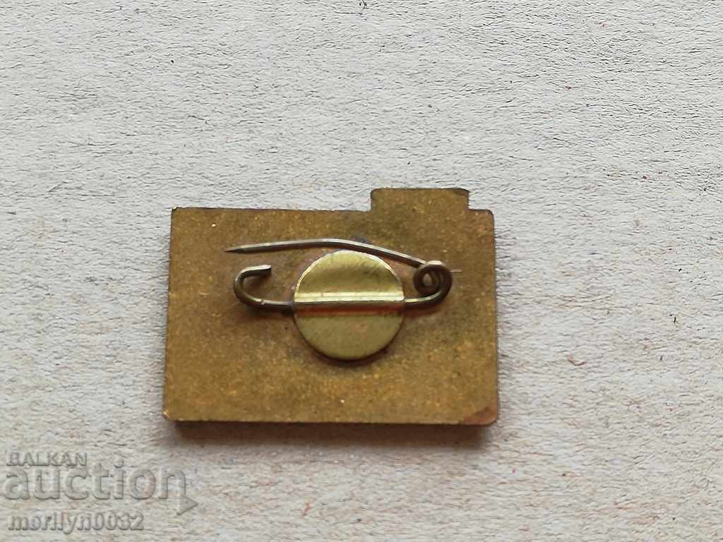 Auction 20 years anniversary sign Two Mounds of the Badge badge Auction 20 years anniversary sign Two Mounds of the Badge badge