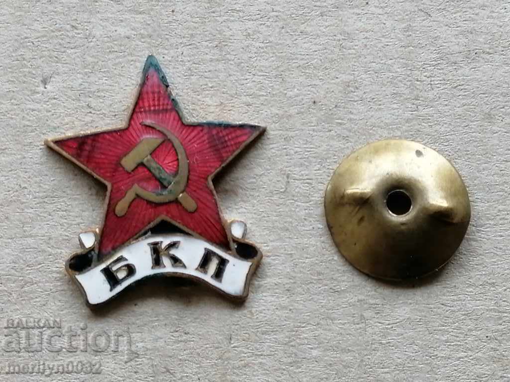 Auction  Breastplate Badge Petal BCP Medal Badge Badge