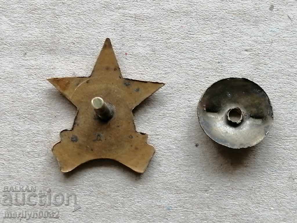 Delivery of Breastplate Badge Petal BCP Medal Badge Badge