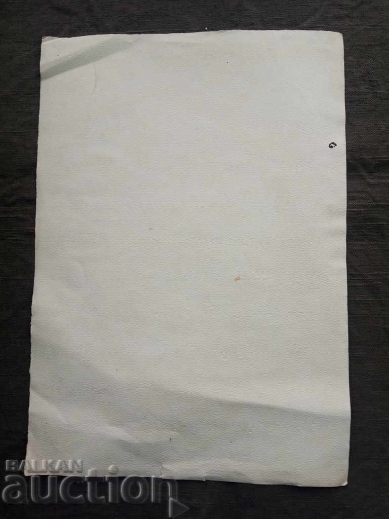 Auction Maria Burada - Flowers Auction Maria Burada - Flowers