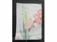 Μαρία Μπουράντα - Λουλούδια