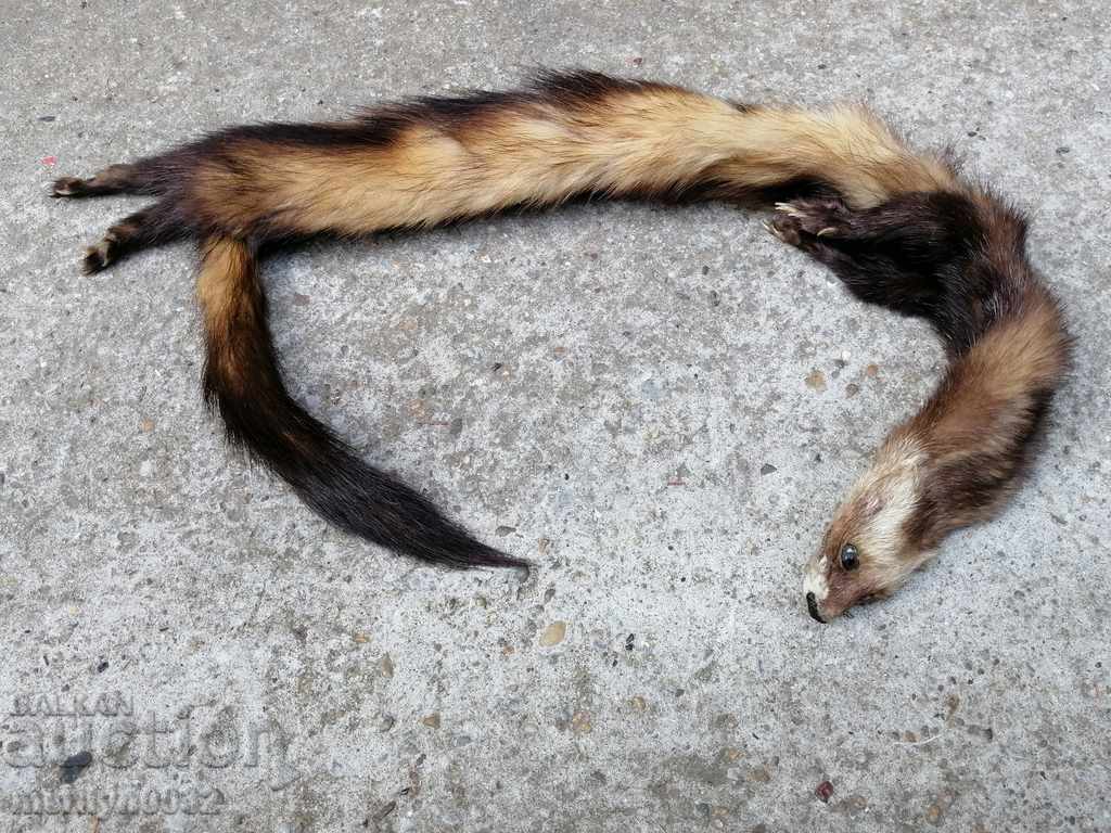 Mink fur collar for women's sable coat with price 81.50 BGN | € 41.67 Mink fur collar for women's sable coat with price 81.50 BGN | € 41.67