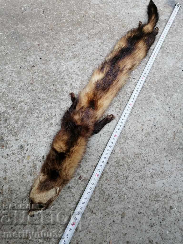 Delivery of Mink fur collar for women's sable coat Delivery of Mink fur collar for women's sable coat