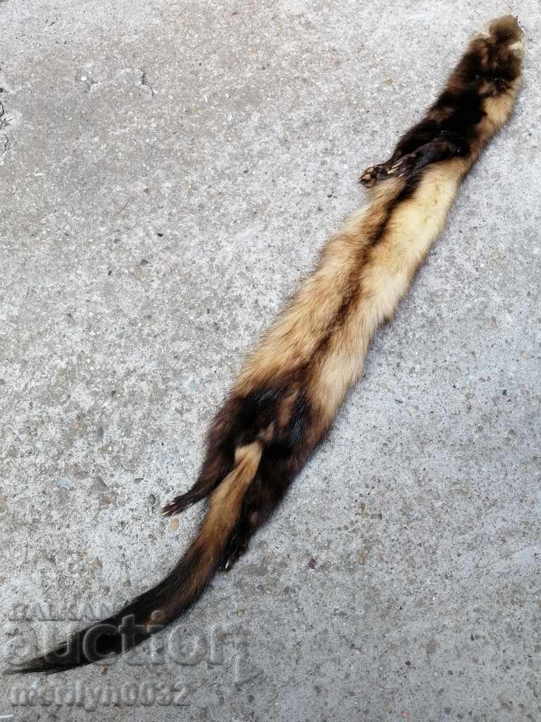 Mink fur collar for women's sable coat - 6 Mink fur collar for women's sable coat - 6