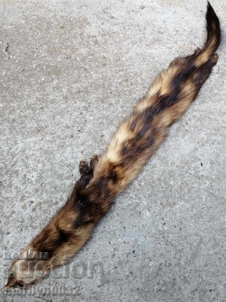 Mink fur collar for women's sable coat - 7 Mink fur collar for women's sable coat - 7