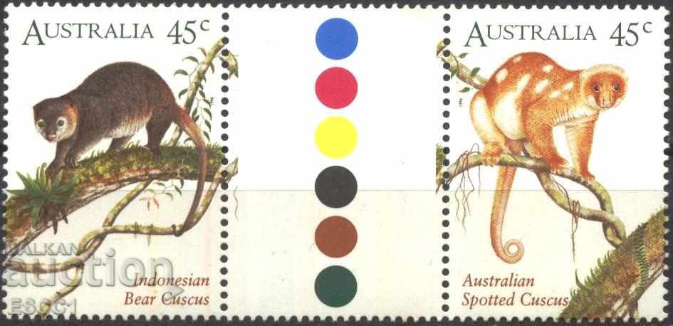 Чисти марки Фауна Кускус 1996 от Австралия