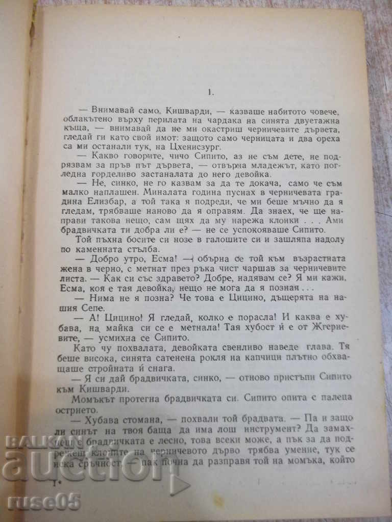 Auction  Book "Lelo - A. Chayshvili" - 320 pages.