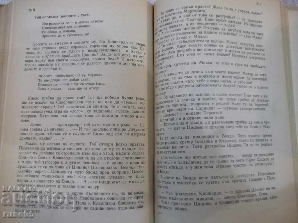 Book "Lelo - A. Chayshvili" - 320 pages. - 5