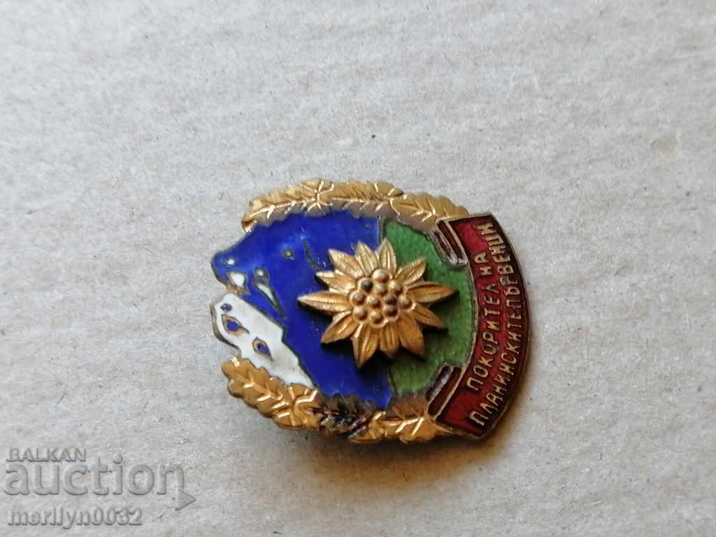 Auction Badge Badge Winner of the Badges Badge Badge Square Auction Badge Badge Winner of the Badges Badge Badge Square